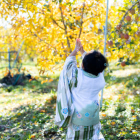 irodori-photo|【七五三 前撮り】長野で「春撮り」を選ぶべき理由と費用｜新緑ロケーションと子どもの自然体を引き出すコツ